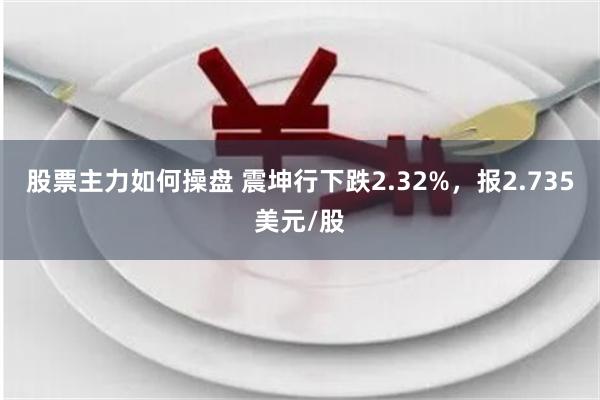 股票主力如何操盘 震坤行下跌2.32%，报2.735美元/股