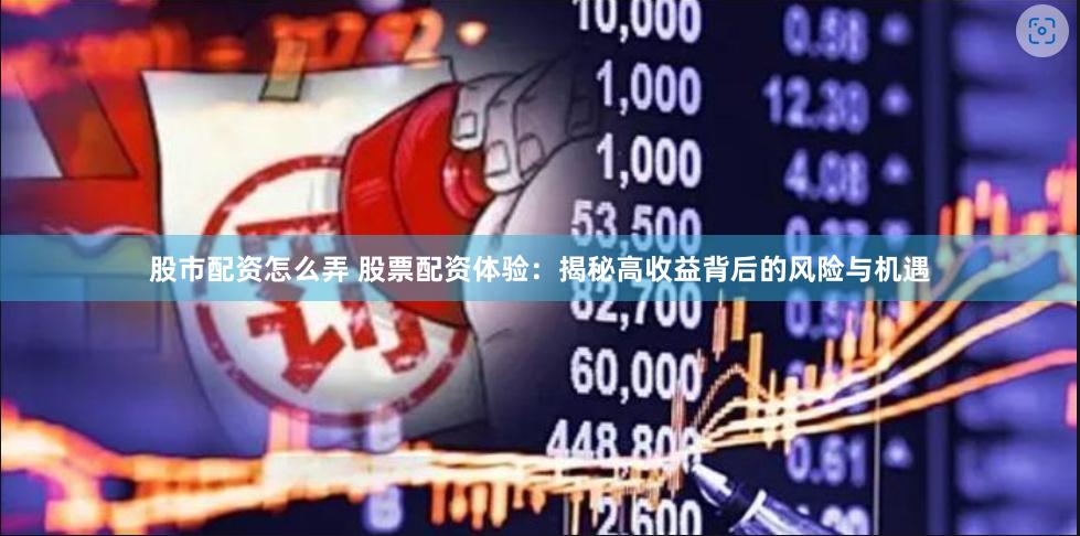 股市配资怎么弄 股票配资体验：揭秘高收益背后的风险与机遇