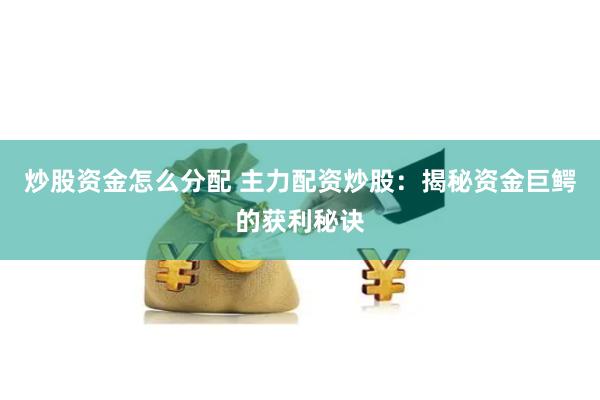 炒股资金怎么分配 主力配资炒股：揭秘资金巨鳄的获利秘诀