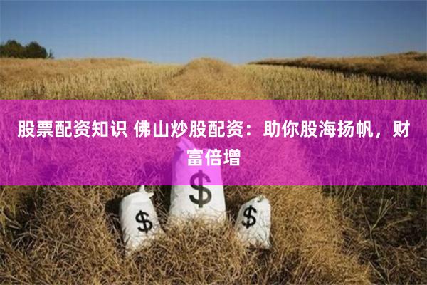 股票配资知识 佛山炒股配资：助你股海扬帆，财富倍增