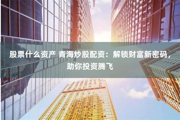 股票什么资产 青海炒股配资：解锁财富新密码，助你投资腾飞