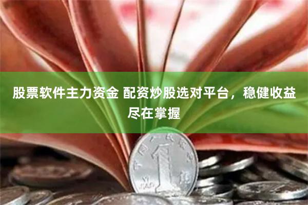股票软件主力资金 配资炒股选对平台，稳健收益尽在掌握